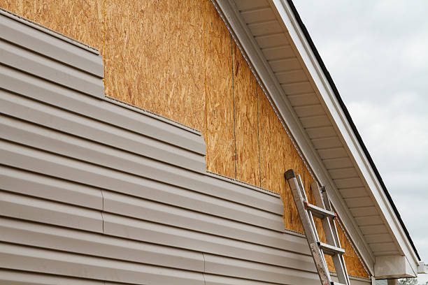 Professional Siding Replacement technician working in Gasburg, VA
